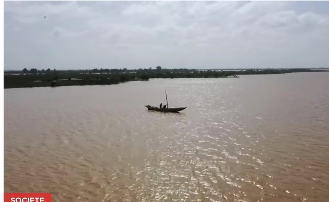Fleuve Gambie : la vigilance orange maintenue, les niveaux d’eau évoluent en ordre dispersé à Kédougou Fleuve Gambie : la vigilance orange maintenue, les niveaux d’eau évoluent en ordre dispersé à Kédougou