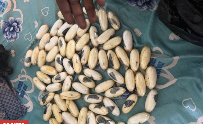 Kédougou : 1,5 kg de cocaïne saisis dans un bus de transport en commun