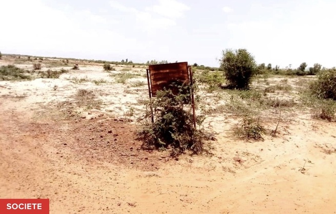 Mboula : Le maire refuse d'octroyer 100 hectares à une coopérative agricole dirigée par un responsable de Pastef Mboula : Le maire refuse d'octroyer 100 hectares à une coopérative agricole dirigée par un responsable de Pastef