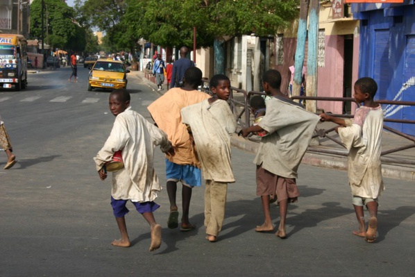 Education, mendicité, environnement… : Mamath Sow du Cese rumine sa colère Education, mendicité, environnement… : Mamath Sow du Cese rumine sa colère