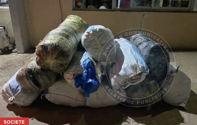 Mbour : 160,75 kg de chanvre indien saisis entre Mbaling et Sinthiou Mbadane