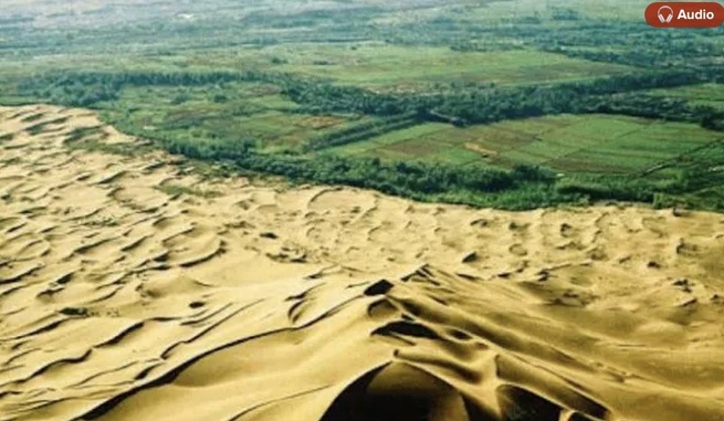 Grande muraille verte : La Mauritanie et le Mali bons élèves, le Sénégal sur la liste des mauvais payeurs Grande muraille verte : La Mauritanie et le Mali bons élèves, le Sénégal sur la liste des mauvais payeurs