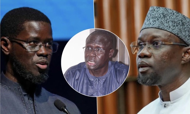 Alioune Souaré (expert) : « si Pastef refuse de voter le budget, la meilleure option du président est...» Alioune Souaré (expert) : « si Pastef refuse de voter le budget, la meilleure option du président est...»