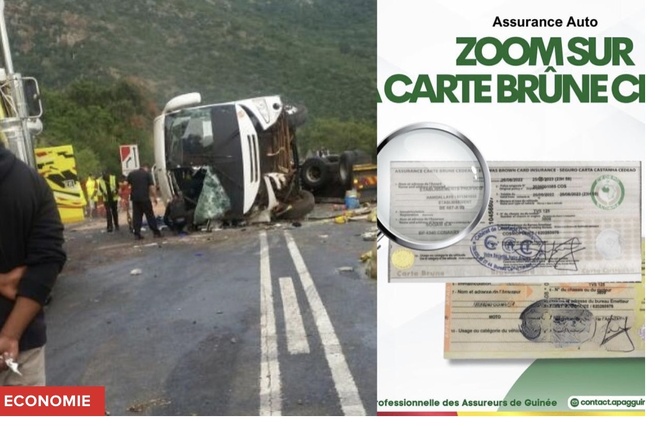 Complexité de gestion des sinistrés d’accidents transfrontaliers : Le système d’assurance carte brune CEDEAO en quête de réforme institutionnelle