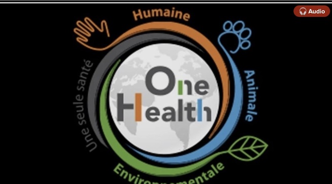 One Health :  Saint-Louis veut anticiper sur la lutte contre les zoonoses