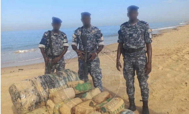 Nianing : 205 kg de chanvre indien saisis sur la plage