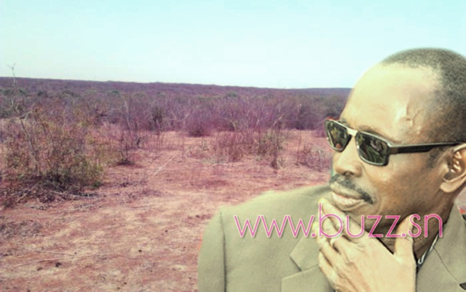 Diass : Encore un lotissement au parfum d’un deal à Boukhou, la population suffoque ! Diass : Encore un lotissement au parfum d’un deal à Boukhou, la population suffoque !