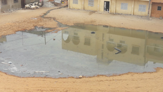 Le terrain de football de l’unité 6 des Parcelles Assainies juxtaposant le Lycée LPA est en train d’empoisonner les riverains de cette localité. Le terrain de football de l’unité 6 des Parcelles Assainies juxtaposant le Lycée LPA est en train d’empoisonner les riverains de cette localité.