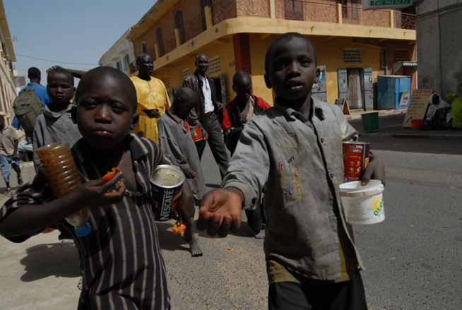 Education et mendicité au Sénégal - Par Pr Lamane Ndiaye