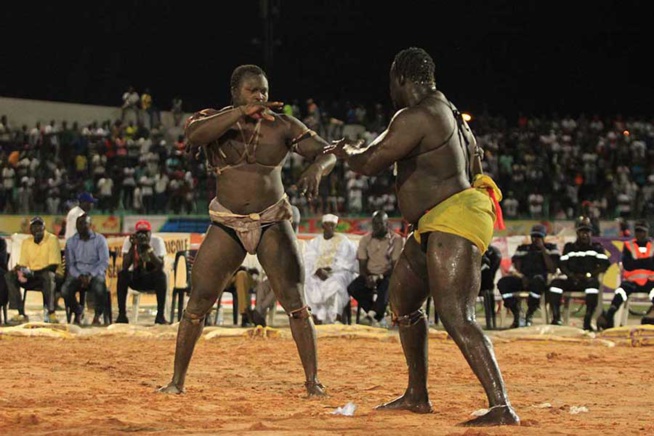 En images le combat qui a envoyé le 3eme tigres de Fasse Gris Bordeaux a 4 appuis par Kharagne Lo. Regardez