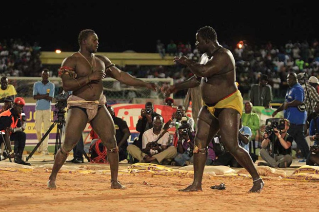 En images le combat qui a envoyé le 3eme tigres de Fasse Gris Bordeaux a 4 appuis par Kharagne Lo. Regardez