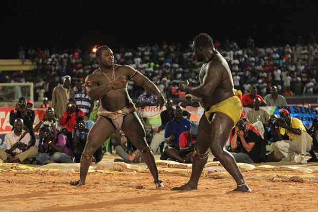 En images le combat qui a envoyé le 3eme tigres de Fasse Gris Bordeaux a 4 appuis par Kharagne Lo. Regardez En images le combat qui a envoyé le 3eme tigres de Fasse Gris Bordeaux a 4 appuis par Kharagne Lo. Regardez