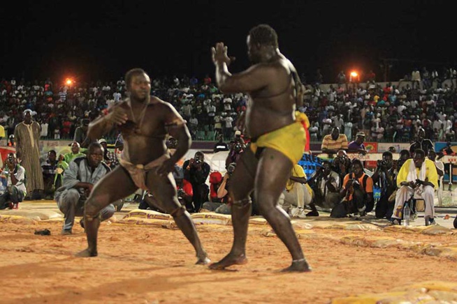 En images le combat qui a envoyé le 3eme tigres de Fasse Gris Bordeaux a 4 appuis par Kharagne Lo. Regardez En images le combat qui a envoyé le 3eme tigres de Fasse Gris Bordeaux a 4 appuis par Kharagne Lo. Regardez