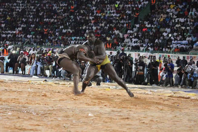 En images le combat qui a envoyé le 3eme tigres de Fasse Gris Bordeaux a 4 appuis par Kharagne Lo. Regardez