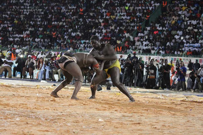 En images le combat qui a envoyé le 3eme tigres de Fasse Gris Bordeaux a 4 appuis par Kharagne Lo. Regardez