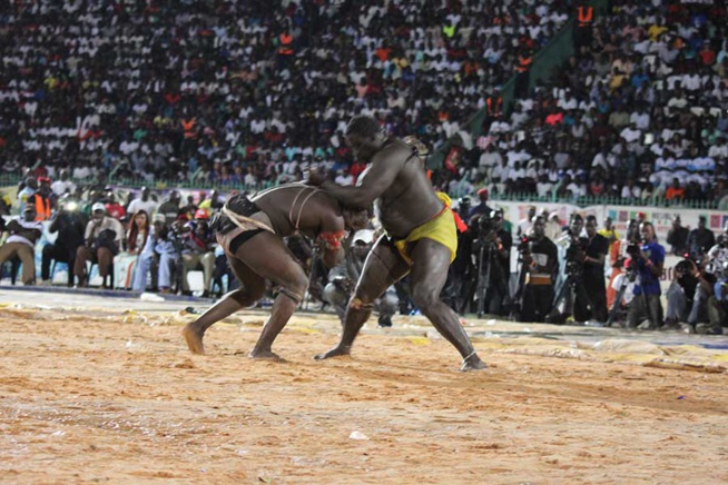 En images le combat qui a envoyé le 3eme tigres de Fasse Gris Bordeaux a 4 appuis par Kharagne Lo. Regardez
