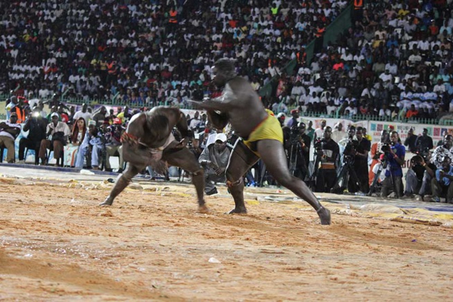 En images le combat qui a envoyé le 3eme tigres de Fasse Gris Bordeaux a 4 appuis par Kharagne Lo. Regardez