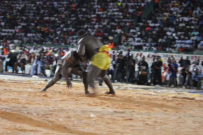 En images le combat qui a envoyé le 3eme tigres de Fasse Gris Bordeaux a 4 appuis par Kharagne Lo. Regardez En images le combat qui a envoyé le 3eme tigres de Fasse Gris Bordeaux a 4 appuis par Kharagne Lo. Regardez