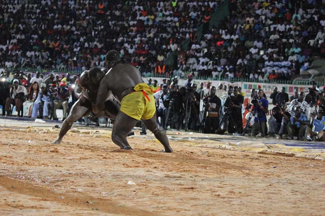 En images le combat qui a envoyé le 3eme tigres de Fasse Gris Bordeaux a 4 appuis par Kharagne Lo. Regardez