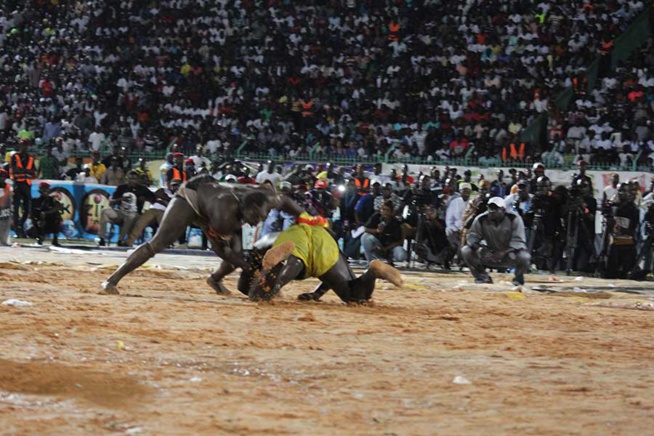 En images le combat qui a envoyé le 3eme tigres de Fasse Gris Bordeaux a 4 appuis par Kharagne Lo. Regardez
