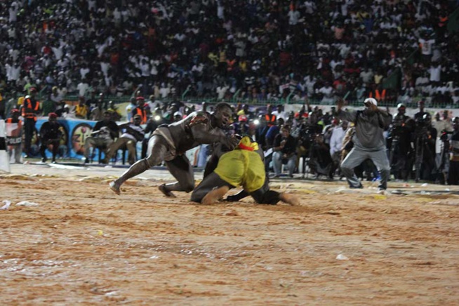 En images le combat qui a envoyé le 3eme tigres de Fasse Gris Bordeaux a 4 appuis par Kharagne Lo. Regardez