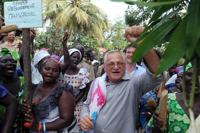 Avec la coupe illicite du bois, la Gambie arnaque le Sénégal de 140 milliards de nos francs Avec la coupe illicite du bois, la Gambie arnaque le Sénégal de 140 milliards de nos francs