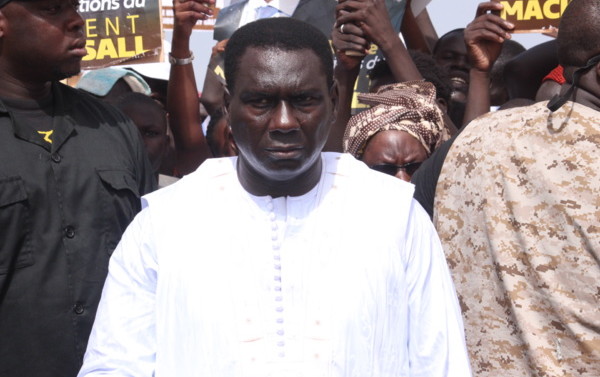 Le personnel du Port a doublé en moins de 4 ans : Cheikh Kanté recrute la fille de Niasse, celle de Sidiki Kaba, des conseillers sans bureau, des promotions inexplicables Le personnel du Port a doublé en moins de 4 ans : Cheikh Kanté recrute la fille de Niasse, celle de Sidiki Kaba, des conseillers sans bureau, des promotions inexplicables