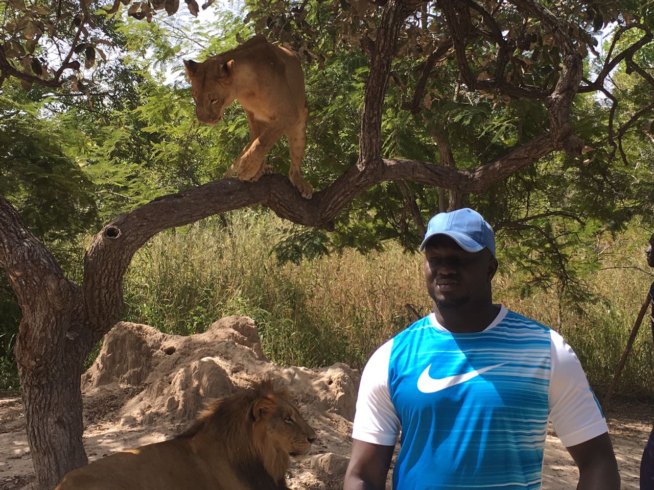 Le patron de "Albourakh" Baye Ndiaye en mode chasseur dans le parc sur la route de Passy.