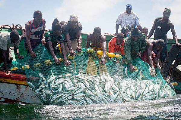 Pêche : pour le renforcement des instruments de transparence des ANEAPS