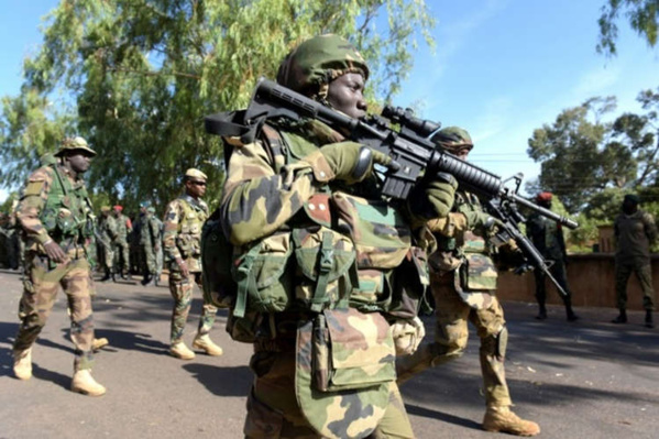 Déployée en Gambie dans le cadre de la MICEGA, l'armée sénégalaise fait le nettoyage