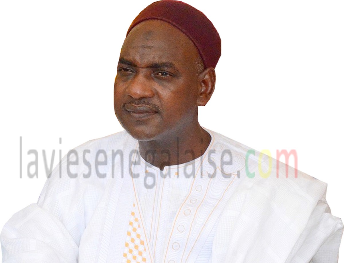 Mamadou Sadio Diallo, APR Kanel: « Macky Sall sait que Harouna Dia est loyal et qu'il travaille pour sa réélection »
