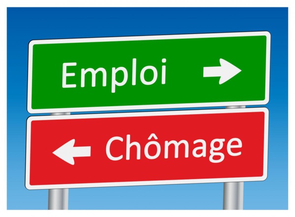 Lutte contre le chômage : plus de 234.960 emplois crées au Sénégal