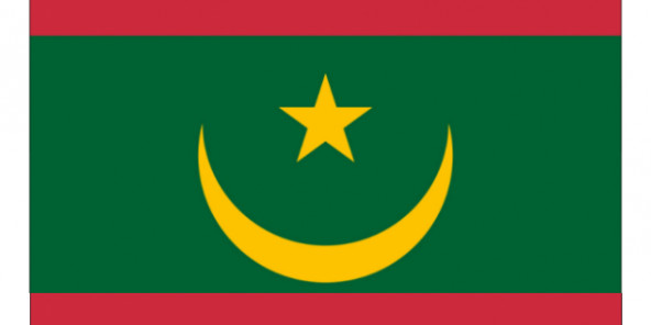 Mauritanie : le changement de drapeau et la suppression du Sénat sont officiels
