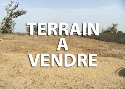 Abus de confiance : Le propriétaire de l’agence immobilière AKI condamné à un mois ferme, et à 50 millions francs Cfa
