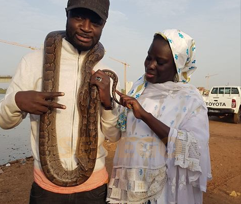 Arrêt sur image : Fata El Presidente, Thérèse Faye et le serpent.