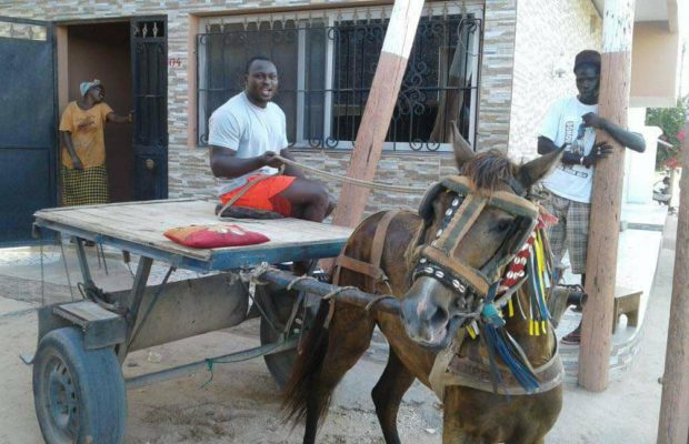 Entre soudeur, maçon, menuisier, et charretier, Modou Lô a été un vrai « homme aux douze métiers ».