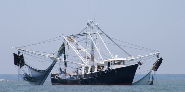 Maroc-UE : l’accord de pêche valide mais pas dans les eaux contestées selon la justice européenne