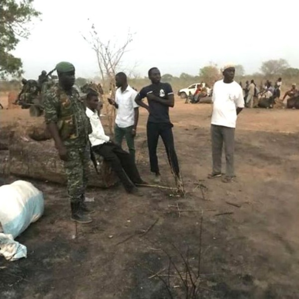 Trafic de bois: le Sénégal exerce un droit de poursuite en Gambie