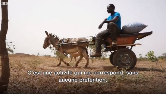 Des stades au champ, découvrez la toute nouvelle vie de Ferdinand Coly, ancien international sénégalais
