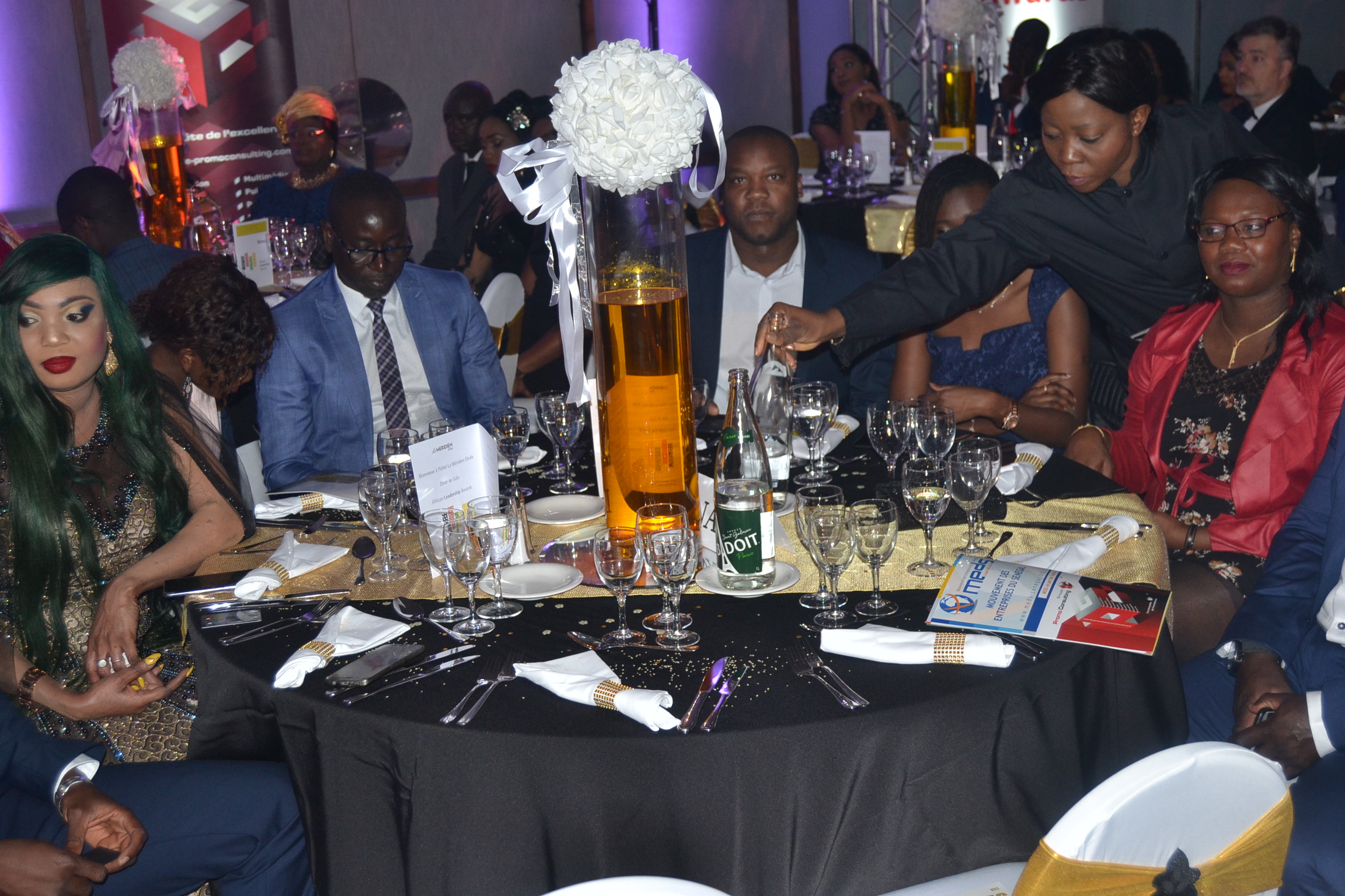 Le Président Mbagnick Diop consacre le leadership de l'Elite Africaine dans sa nouvelle plateforme de l'excellence, pour positionner le continent Africain  définitivement dans la vague de l'émergence et la nouvelle économie.