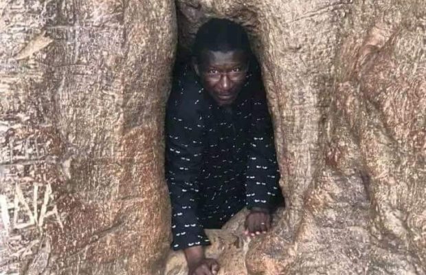 Arrêt sur image: Mary Teuw Niaw à l’intérieur d’un arbre mystérieux