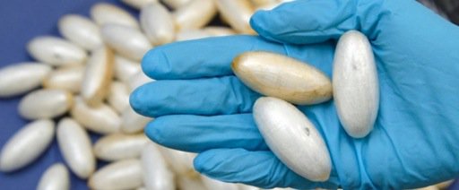 Italie : Un Sénégalais avale des boulettes de cocaïne pour…