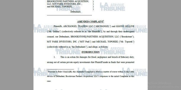 Exclusif  : ce que cache l'affaire Platinum Power