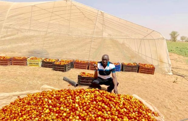 Découvrez comment Aly Ngouille, passe ses vacances, Le ministre expose les récoltes de sa ferme agricole