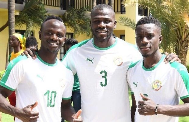 Séance de shooting avec Les lions