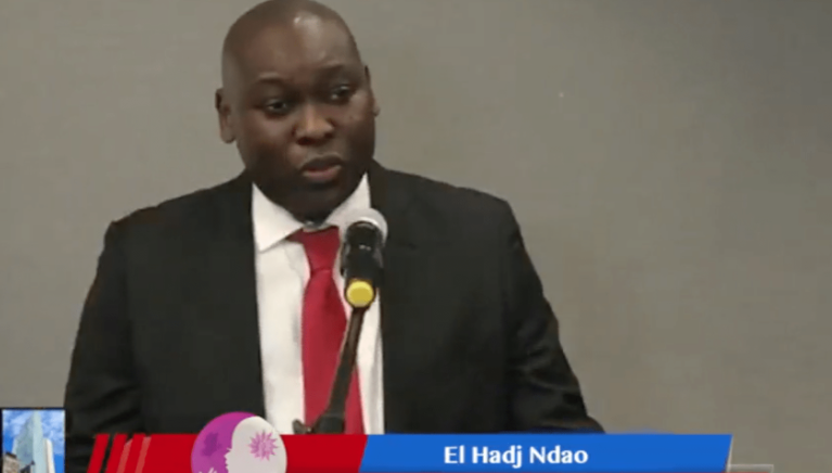 DISCOURS DE Mr El Hadj Ndao AU TRIBUTE OF EXCELLENCE AWARDS LUNCHEON ORGANISER PAR LA FONDATION ONE THOUSAND SHAD OF WOMEN À L’ONU CE 16 MARS 2019