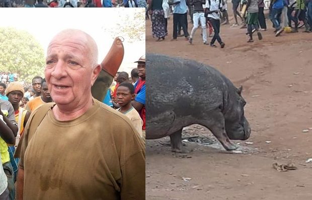 L’hippopotame abattu, par le chasseur François Uart sur ordre, Moustapha Diakhaté étale sa colère