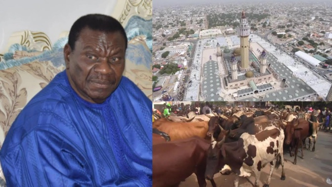 Au foirail de Dahra, les éleveurs de bœufs pleurent Cheikh Béthio : « Il nous achetait jusqu’à 500 têtes »