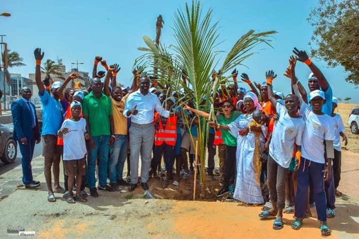 Programme de remplacement des palmiers de la Corniche avec le ministre Abdou K. FOFANA et l’association Ecolibri