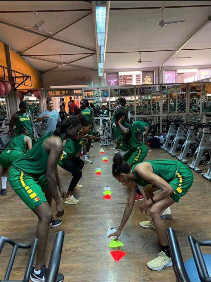 Préparation Afrobasket 2019 : Cheikh Sarr démarre avec 13 Lionnes